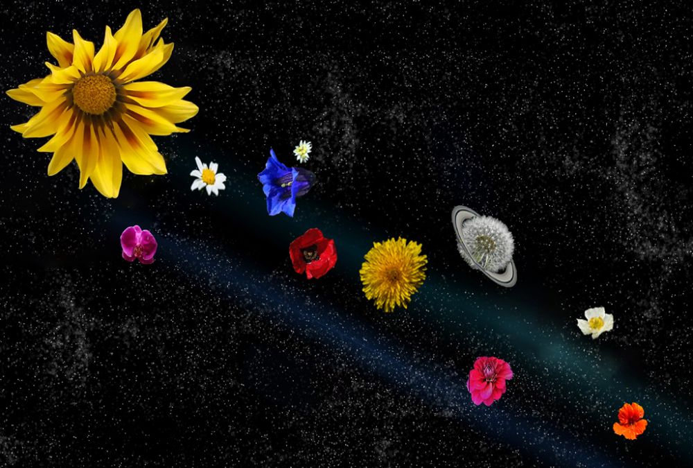 Inge-Gajczak-Blooming-Planets