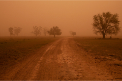 Honour-Sandra-Neill-Dust-Storm-and-Drought